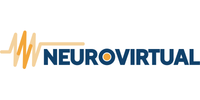 Neurovirtual